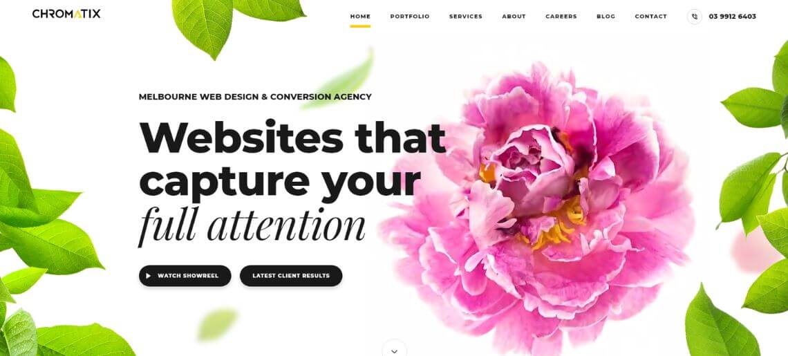 Web Design Dubai 50